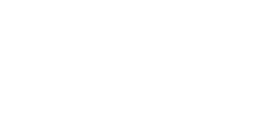 Austin Elite limo